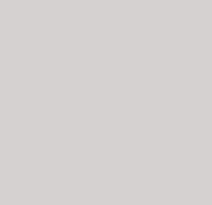 LIMITED - Oppio EFFEN LIGHT GREY PVC Wandpaneel MAT - 120x280x0,3 cm