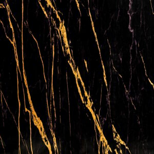 €69 PER PANEEL - 120x280x0,3 cm - PVC Wandpaneel Ceasar Black  - Zwart Goud Hoogglans