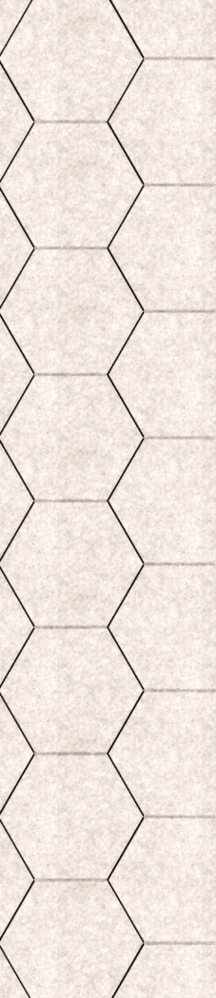 OPPIO Viltpaneel Beige - HEXAGON - 280x60 cm - Brandvertragend & Geluiddempend - Afbeelding 2